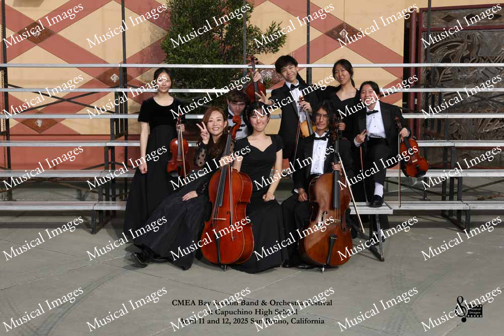 Musical Images